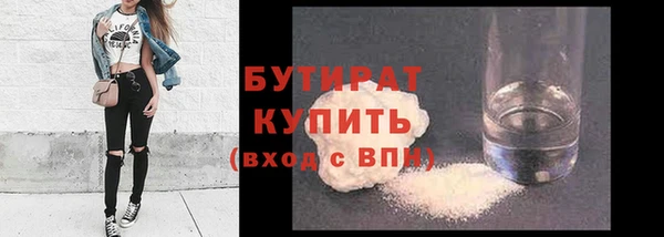 крисы Бородино