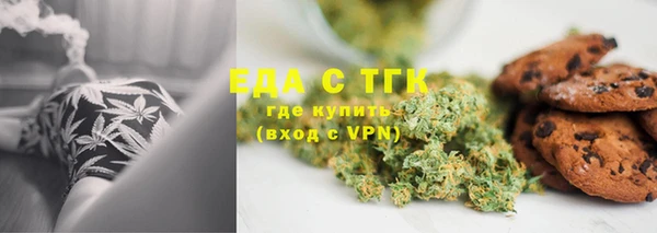 крисы Бородино