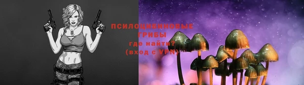 гидропоника Бронницы