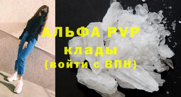 крисы Бородино