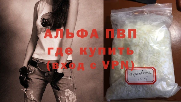 крисы Бородино