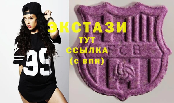 крисы Бородино