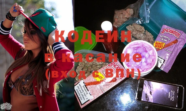 крисы Бородино