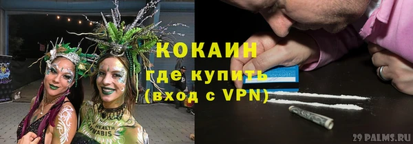 крисы Бородино